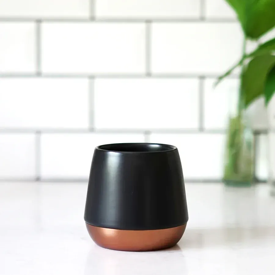 Fellow Joey Matte Black by anthem branding