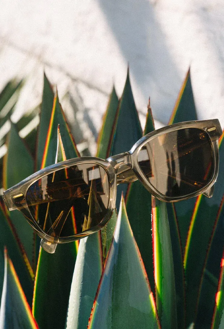 Raen optics carby by anthem branding